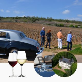 Wine tour en Beaujolais & Bourgogne