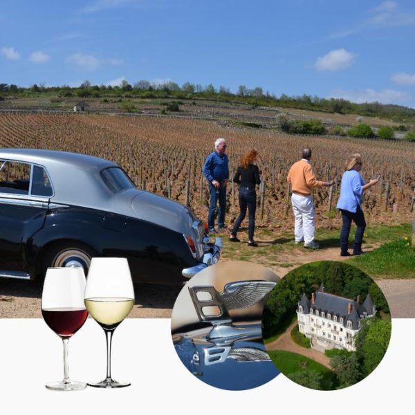 Wine tour