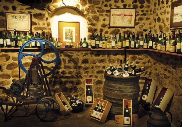Tasting cellar of Domaine Gérard Brisson