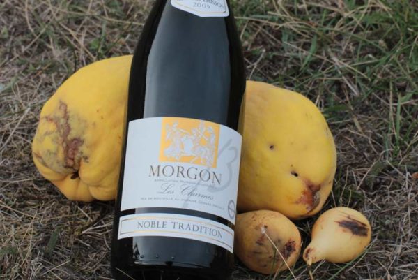 Morgon Noble Tradition Domaine Gérard Brisson