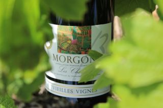 Détail de l'étiquette de la cuvée Morgon les Charmes Vieilles Vignes du Domaine Gérard BRISSON